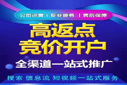 实战经验：SEM网络推广打造行业领军品牌
